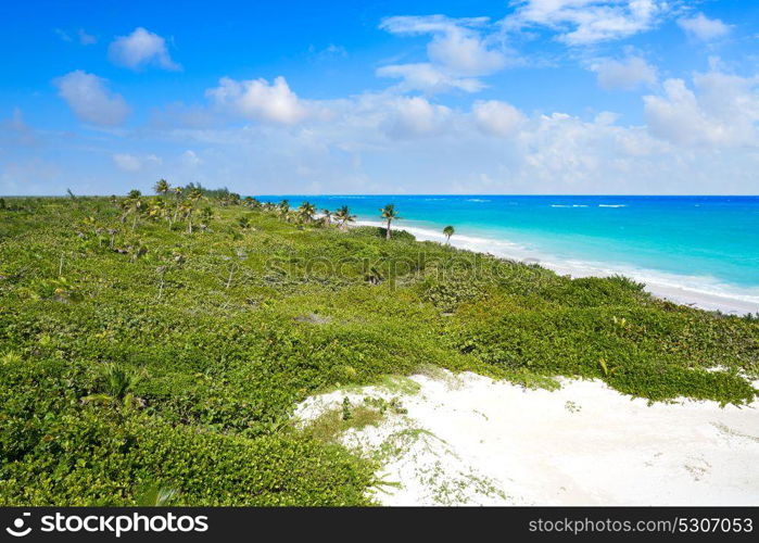 Mahahual Caribbean beach in Costa Maya of Mayan Mexico