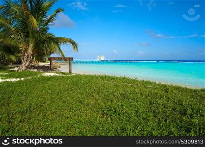 Mahahual Caribbean beach in Costa Maya of Mayan Mexico