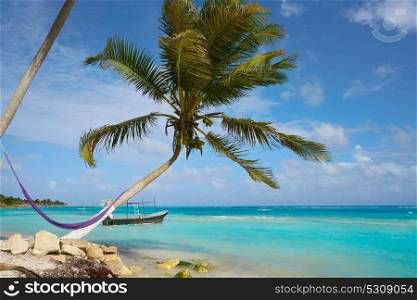 Mahahual Caribbean beach palm tree in Costa Maya of Mayan Mexico