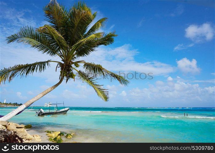 Mahahual Caribbean beach palm tree in Costa Maya of Mayan Mexico