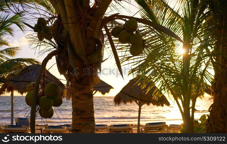 Mahahual Caribbean beach sunrise palm trees in Costa Maya of Mayan Mexico