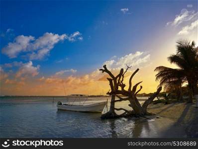 Mahahual Caribbean beach sunset in Costa Maya of Mayan Mexico
