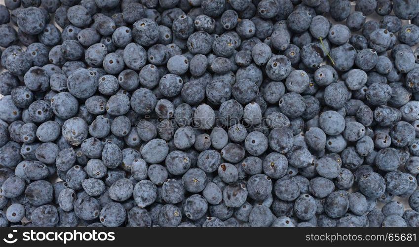 Mahonia aquifolium plant berries fruits texture pattern