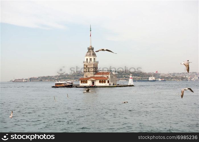 Maiden&rsquo;s Tower located in the Bosphorus surrounded by Seagulls