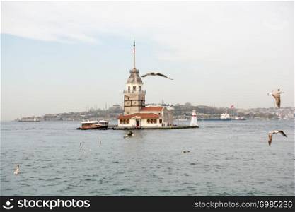 Maiden&rsquo;s Tower located in the Bosphorus surrounded by Seagulls