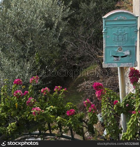 Mailbox in a garden, Praiano, Amalfi Coast, Salerno, Campania, Italy