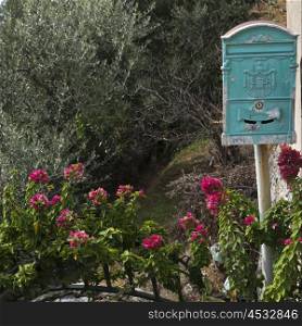 Mailbox in a garden, Praiano, Amalfi Coast, Salerno, Campania, Italy