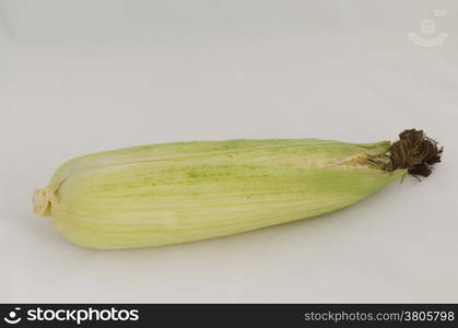 Maize (Zea mays) cob detail in green leaves