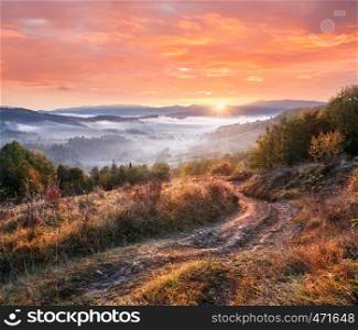 Majestic colorful sunset over the mountains landscape. Carpathian, Ukraine, Europe.