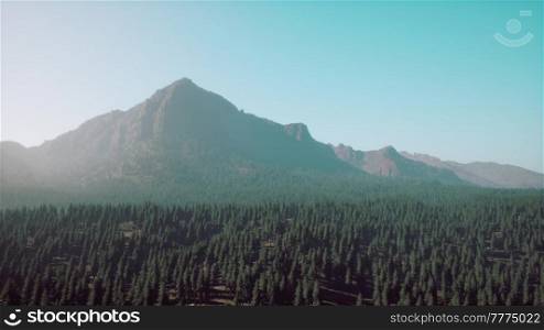 majestic mountains with forest foreground in Canada