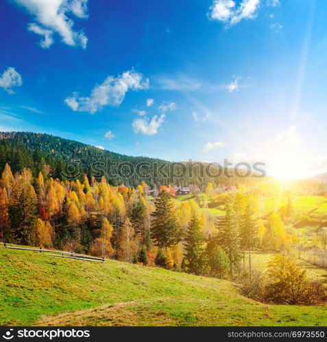 Majestic particolored forest with sunny beams. Natural park. Dramatic unusual scene. Red and yellow autumn leaves. Carpathians, Ukraine, Europe