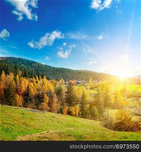Majestic particolored forest with sunny beams. Natural park. Dramatic unusual scene. Red and yellow autumn leaves. Carpathians, Ukraine, Europe