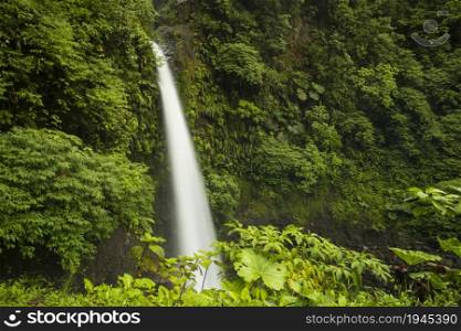 majestic waterfall rainforest costa rica. High resolution photo. majestic waterfall rainforest costa rica. High quality photo