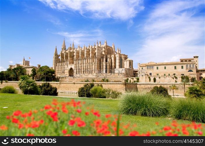 Majorca Cathedral and Almudaina from red flowers garden of Palma de Mallorca