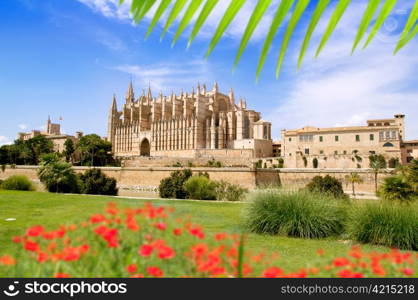 Majorca Cathedral and Almudaina from red flowers garden of Palma de Mallorca