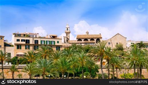 Majorca Cathedral garden with palm trees and Calatrava Barrio