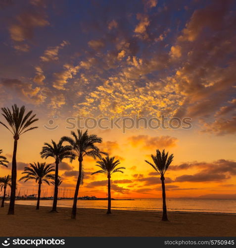 Majorca El Arenal sArenal beach sunset near Palma de Mallorca in Balearic Islands spain