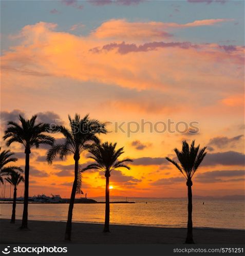 Majorca El Arenal sArenal beach sunset near Palma de Mallorca in Balearic Islands spain