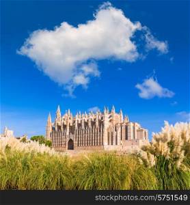 Majorca Palma Cathedral Seu Seo of Mallorca at Balearic Islands Spain