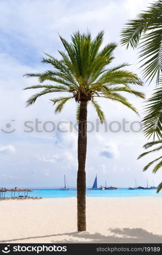 Majorca Platja Palmanova beach in Calvia Bol ses Teules Mallorca