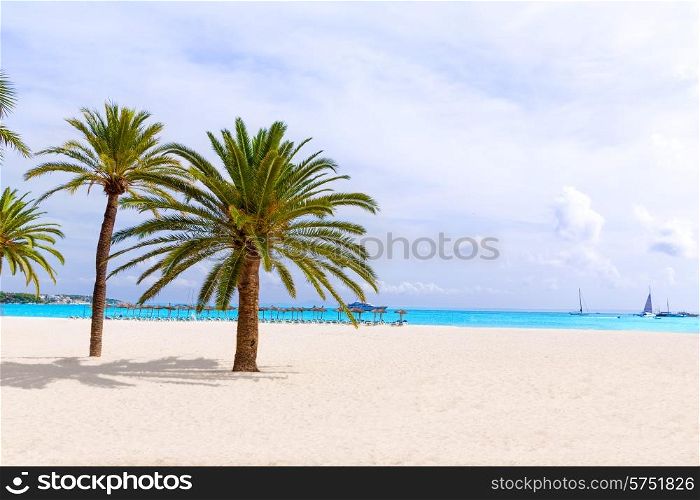 Majorca Platja Palmanova beach in Calvia Bol ses Teules Mallorca