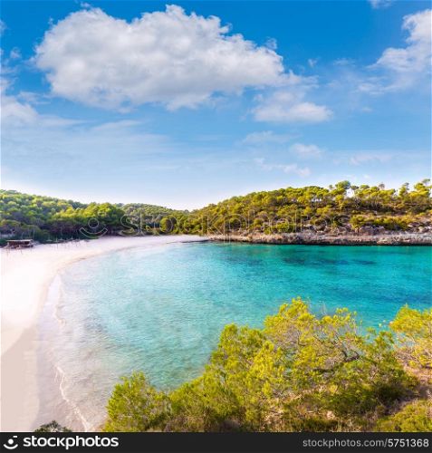 Majorca sAmarador beach Amarador in Mondrago Mondragon Natural Park of Mallorca Balearic Island
