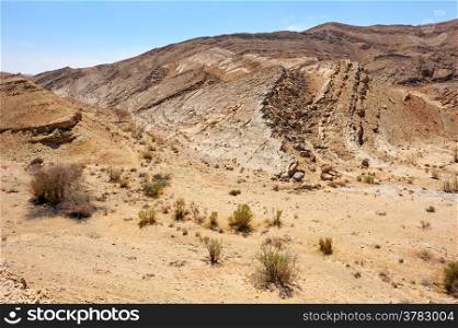 Makhtesh Ramon, unique crater in Negev desert, Israel