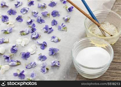 Making candied violets. Making candied violet flowers with egg whites and sugar