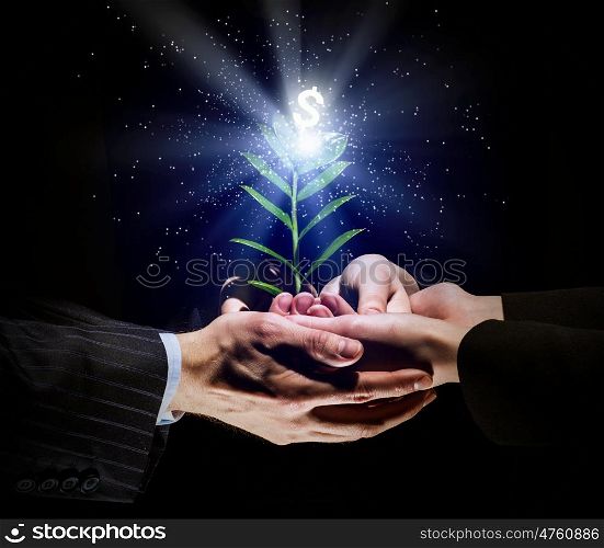 Making money. Close up image of human hands holding sprout of money tree