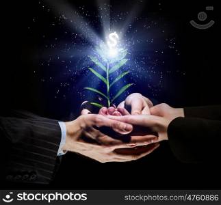 Making money. Close up image of human hands holding sprout of money tree