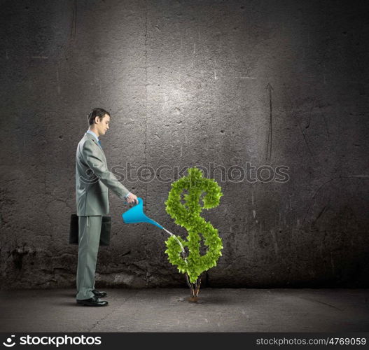 Making money. Image of businessman watering money tree inshape of dollar symbol