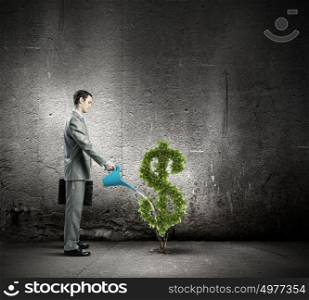 Making money. Image of businessman watering money tree inshape of dollar symbol