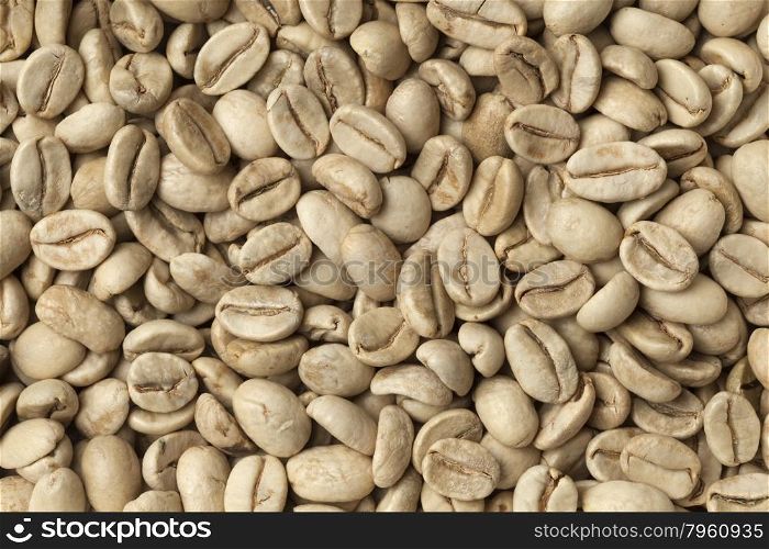 Malabar green unroasted coffee beans from India full frame