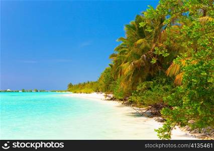 Maldives. tropical island.