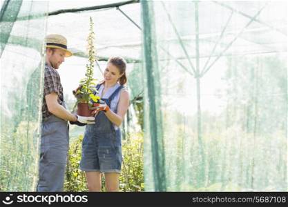 Male and female gardeners discussing over potted plant at greenhouse