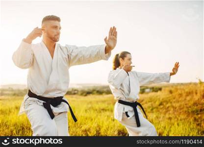 Male and female karate masters with black belts fight in summer field. Martial art fighters on training outdoor, technique practice. Male and female karate masters fight in field