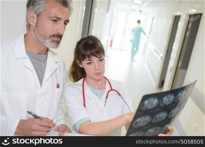 Male and female medical workers looking at xray