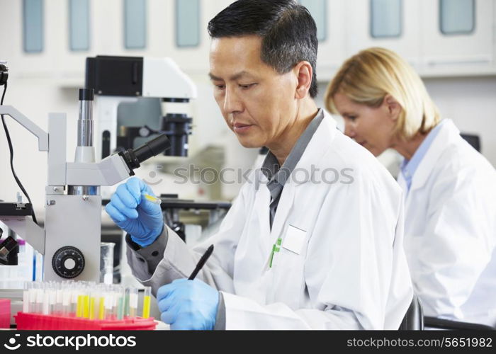 Male And Female Scientists Using Microscopes In Laboratory