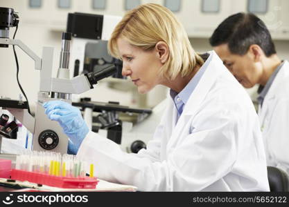 Male And Female Scientists Using Microscopes In Laboratory