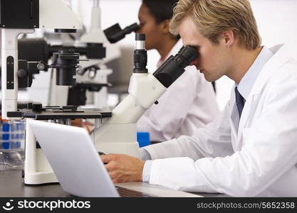 Male And Female Scientists Using Microscopes In Laboratory