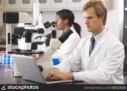 Male And Female Scientists Using Microscopes In Laboratory