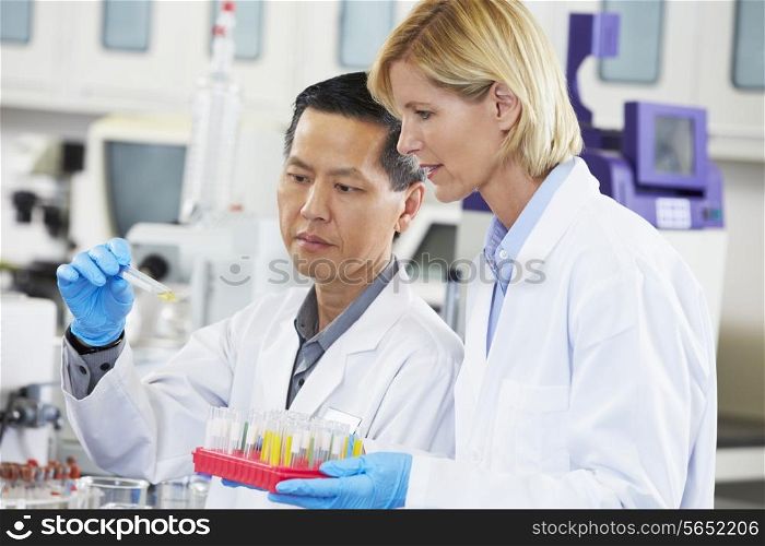 Male And Female Scientists Working In Laboratory