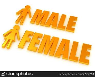 Male and female. Signs. 3d