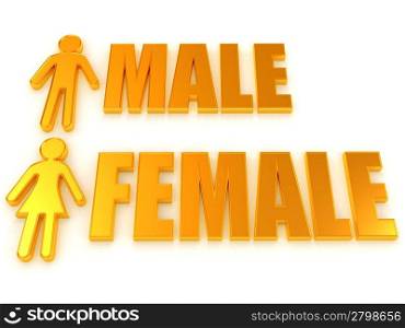 Male and female. Signs. 3d