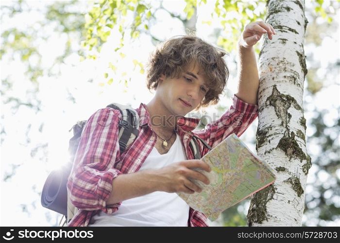Male backpacker reading map while leaning on tree trunk in forest