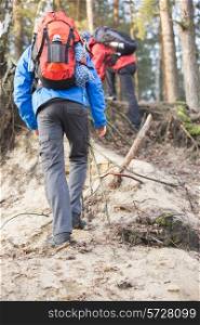 Male backpackers hiking in forest