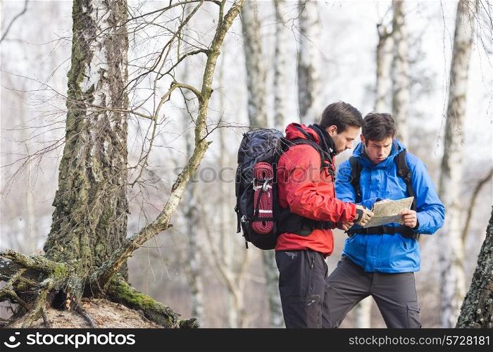 Male backpackers reading map in forest