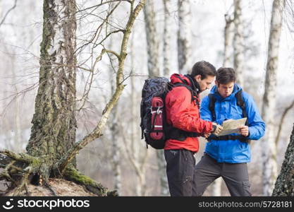 Male backpackers reading map in forest