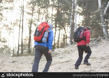 Male backpackers walking in forest