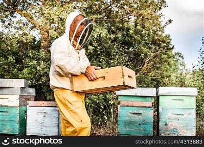 Male beekeeper working with hives